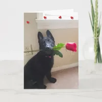 Ain't No Puppy Love with Red Rose Valentine Card