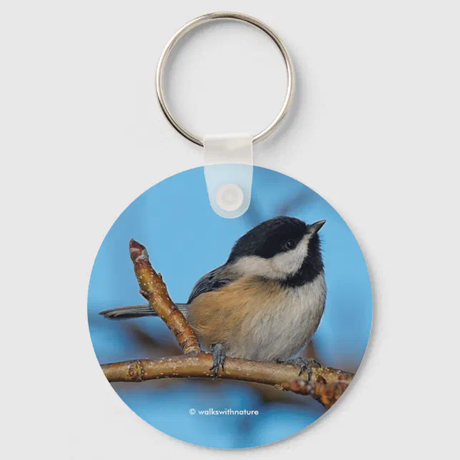 A Black-Capped Chickadee on the Pear Tree Keychain
