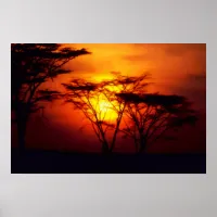 African Sunset Poster