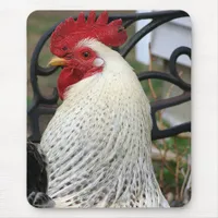 Five Toes Rooster Photo Mouse Pad