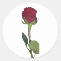 Red Rose Classic Round Sticker