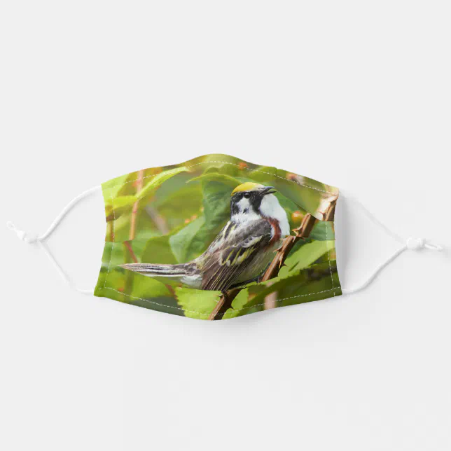 Beautiful Chestnut-Sided Warbler on a Branch Adult Cloth Face Mask