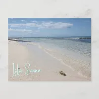 Isla Saona - Caribbean Beach with Seashell Postcard