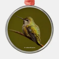 Anna's Hummingbird on Scarlet Trumpetvine Metal Ornament