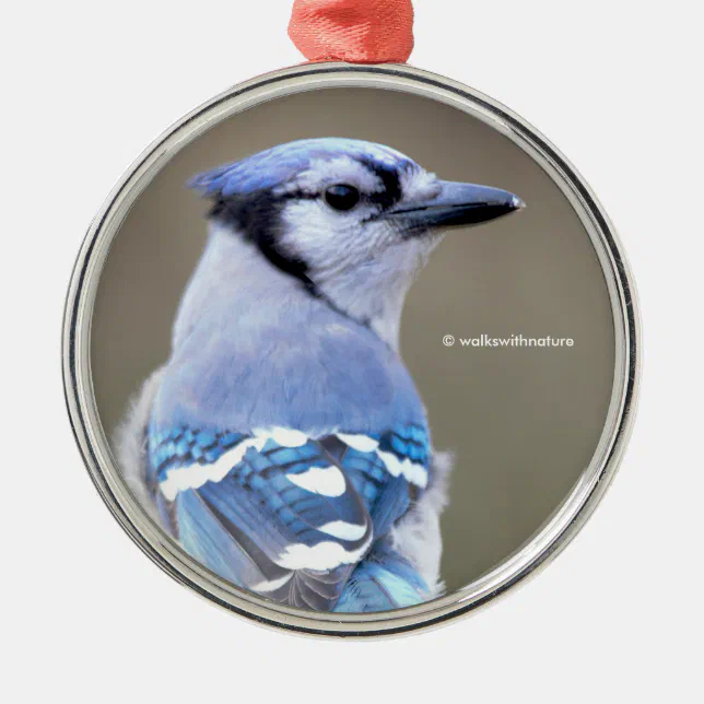 Cute Blue Jay Songbird on Treestump Metal Ornament