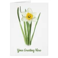 Daffodil Flower