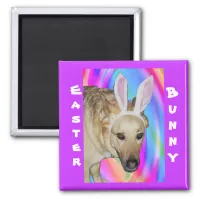 Funny German Shepherd Dog & Easter Bunny Ears Magnet
