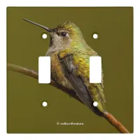 Anna's Hummingbird on Scarlet Trumpetvine Light Switch Cover