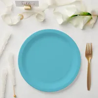 Modern coastal aqua solid paper plates