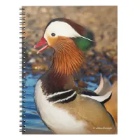 Beautiful Chatty Mandarin Duck at the Pond Notebook
