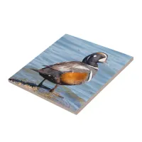 Beautiful Harlequin Duck on the Rock Ceramic Tile