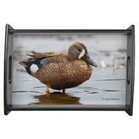 Portrait of a Blue-Winged Teal Serving Tray