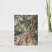 Tree, German Birthday Card