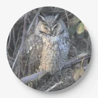 Beautiful Long-Eared Owl at Sunset Paper Plates