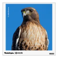 Magnificent Red-Tailed Hawk in the Sun Wall Sticker