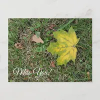 Miss You, Single Fall Leaf  Postcard