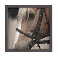 Palomino Horse in Bridle Keepsake Box