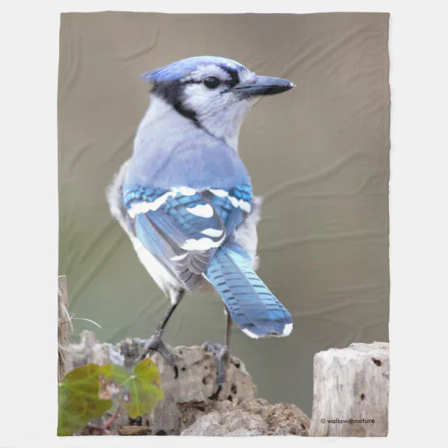 Cute Blue Jay Songbird on Treestump Fleece Blanket