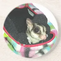 Sugar Glider Wearing a Hat Sandstone Coaster