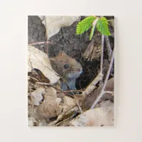 Mouse in the house jigsaw puzzle