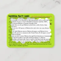 Babesia Fact Educational Card