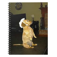 Sitting Pretty Dachshund Notebook