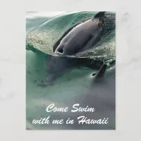 Dolphin Swim Hawaii Big Island Postcard