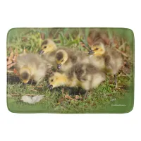 Adorable Baby Canada Geese on the Grass Bath Mat