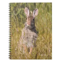 Cute and Curious Eastern Cottontail Rabbit Notebook