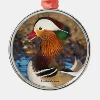 Beautiful Chatty Mandarin Duck at the Pond Metal Ornament