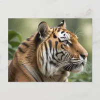 Majestic Big Cat Wildlife Picture Tiger Postcard