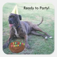 Ready to Party with Birthday Dog and Brownie Cake Square Sticker