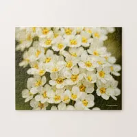 Beautiful Bridal Wreath Spiraea Jigsaw Puzzle