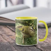 Cute Little Kinglet Causes a Stir in the Fir Mug