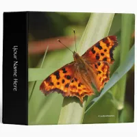 Beautiful Orange Satyr Comma Butterfly 3 Ring Binder