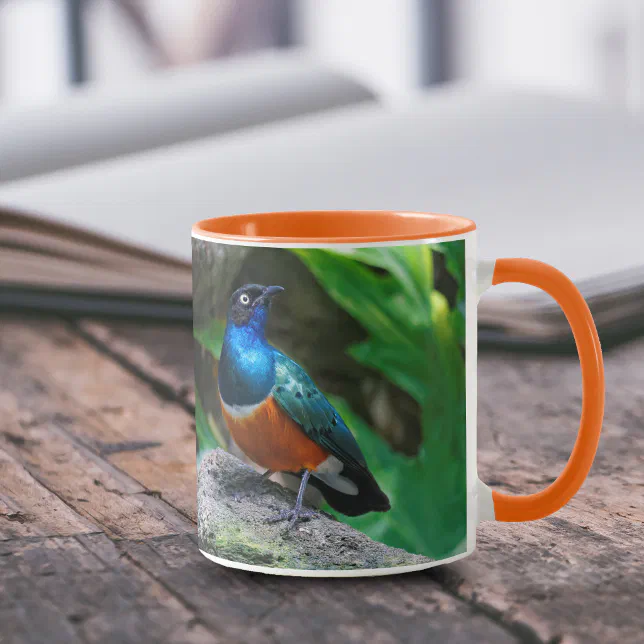 A Stunning African Superb Starling Songbird Mug