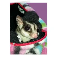 Sugar Glider Wearing a Hat Birthday Card