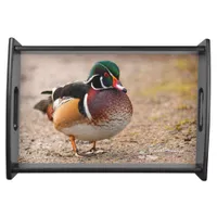 Wood Duck on Gravel Serving Tray