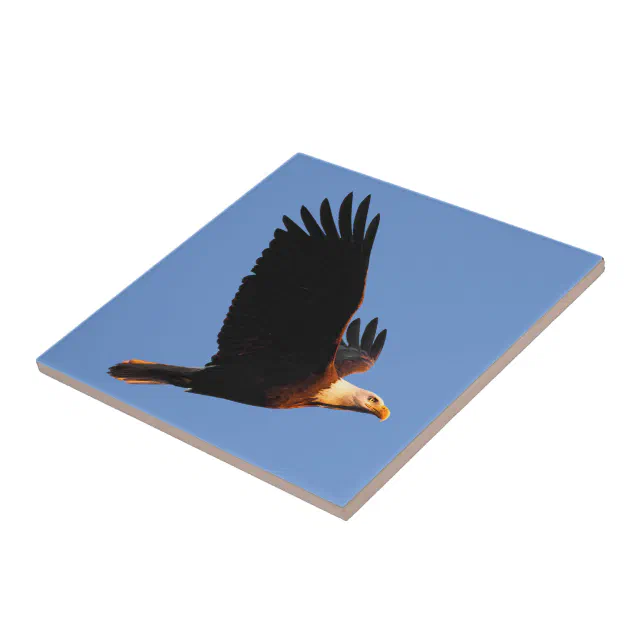 Breathtaking Bald Eagle in Winter Sunset Flight Ceramic Tile