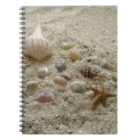 Seashells On Beach Sand Writing Journal