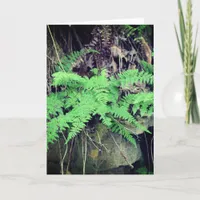 Fern All Occasions Card