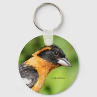 Stunning Black-Headed Grosbeak Songbird Keychain