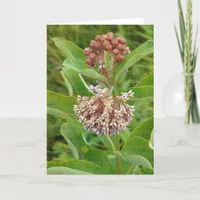 Milkweed is Pretty Card