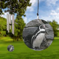 Humboldt Penguin Close-up Photo Wind Chime