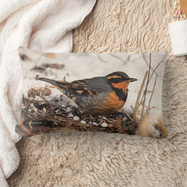 Stunning Varied Thrush Songbird in the Snow Lumbar Pillow