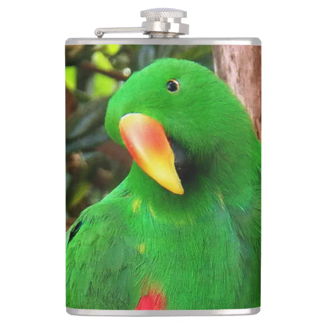 "The Green Orator" Eclectus Parrot Hip Flask