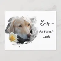 *~* AP61 Sad Lab Retriever Flower Sorry Jerk Postcard