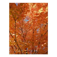 Pretty Orange Fall Leaves Poster