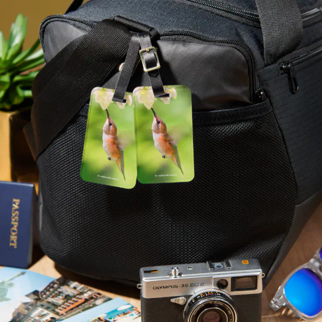 Rufous Hummingbird Sips Blueberry Blossom Nectar Luggage Tag