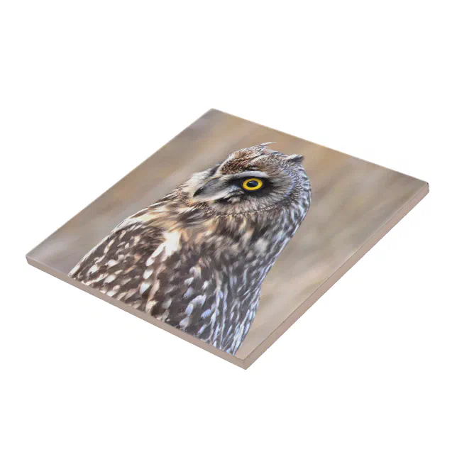 Portrait of a Short-Eared Owl in the Marshes Ceramic Tile